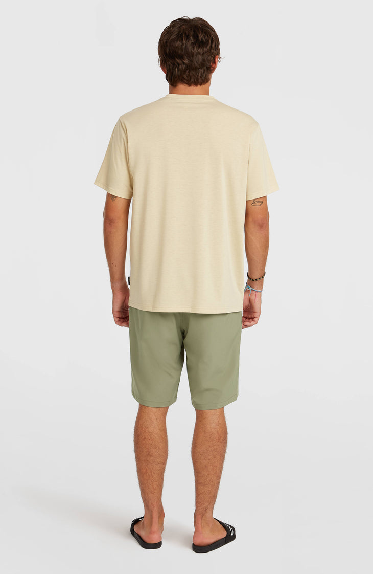 Hybrid 19" Shorts | Avery Fern