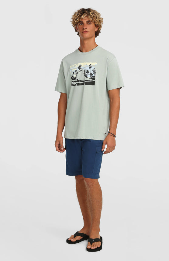 O'Neill Essentials Ripstop Cargo-Shorts | English Evening