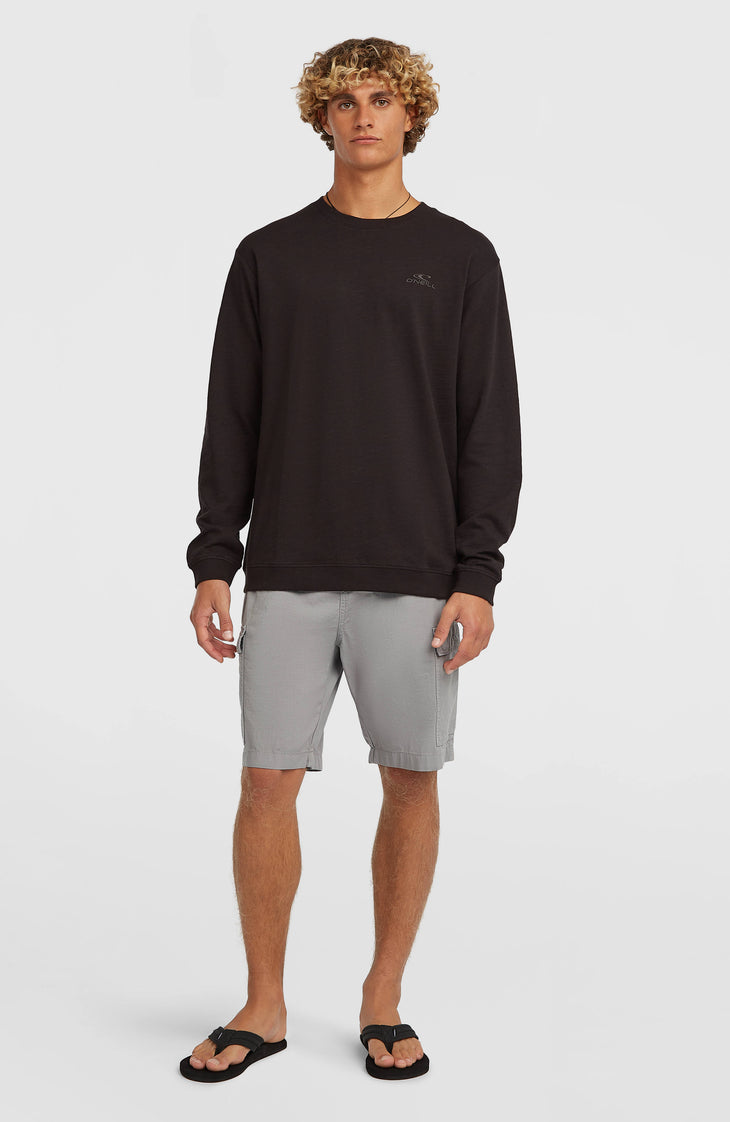 O'Neill Essentials Ripstop Cargo-Shorts | Brushed Aluminium
