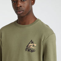 Torrey Crew Sweatshirt | Deep Lichen Green