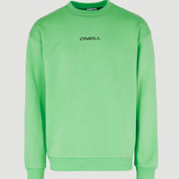 Future Surf Society Sweatshirt | Luminous Green