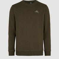 O'Neill Sweatshirt mit kleinem Logo | Forest Night