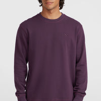 Small Logo Crew Sweatshirt | Aubergine