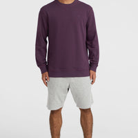 Small Logo Crew Sweatshirt | Aubergine