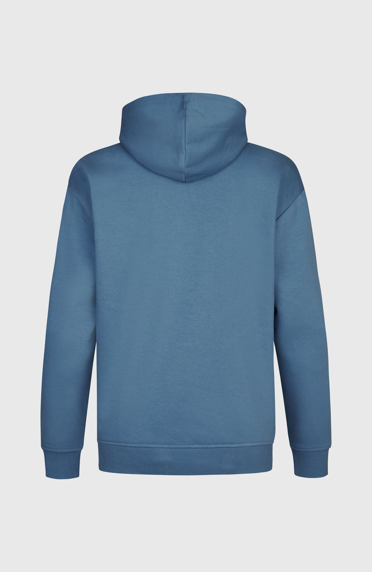Future Surf Society Hoodie für Herren, blau, freigestellt von hinten, Ansicht mit Kapuze