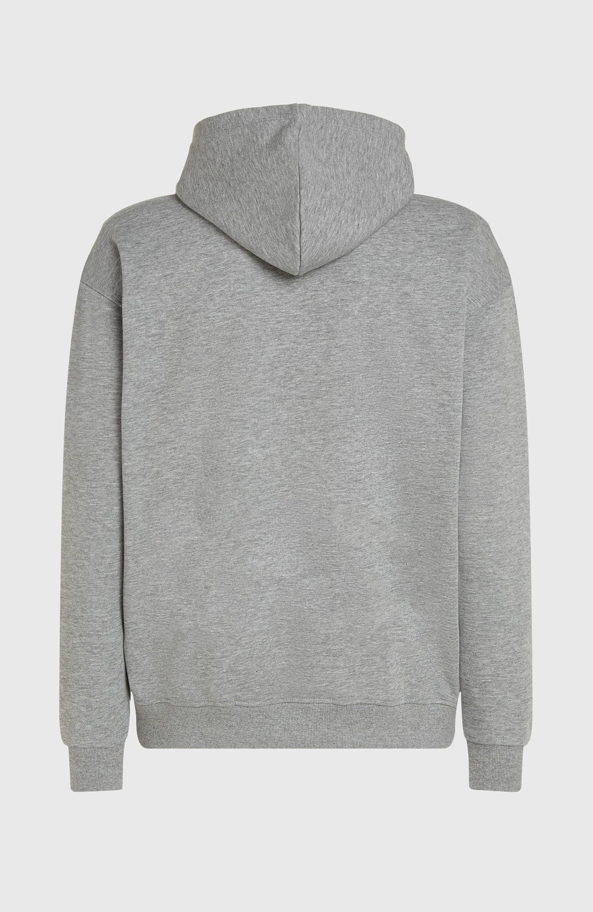 Future Surf Society Hoodie für Herren, grau, freigestellt von hinten mit Kapuze