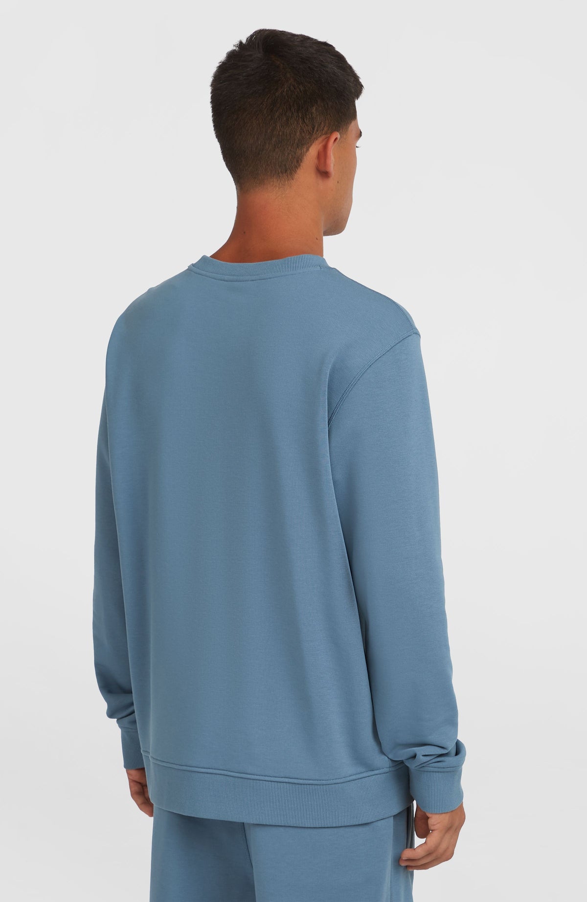 Logo Crew Sweatshirt für Herren, blau, Rückansicht am Model