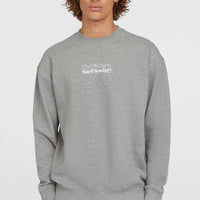 Future Surf Crew Sweatshirt | Silver Melee