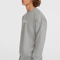 Future Surf Crew Sweatshirt | Silver Melee