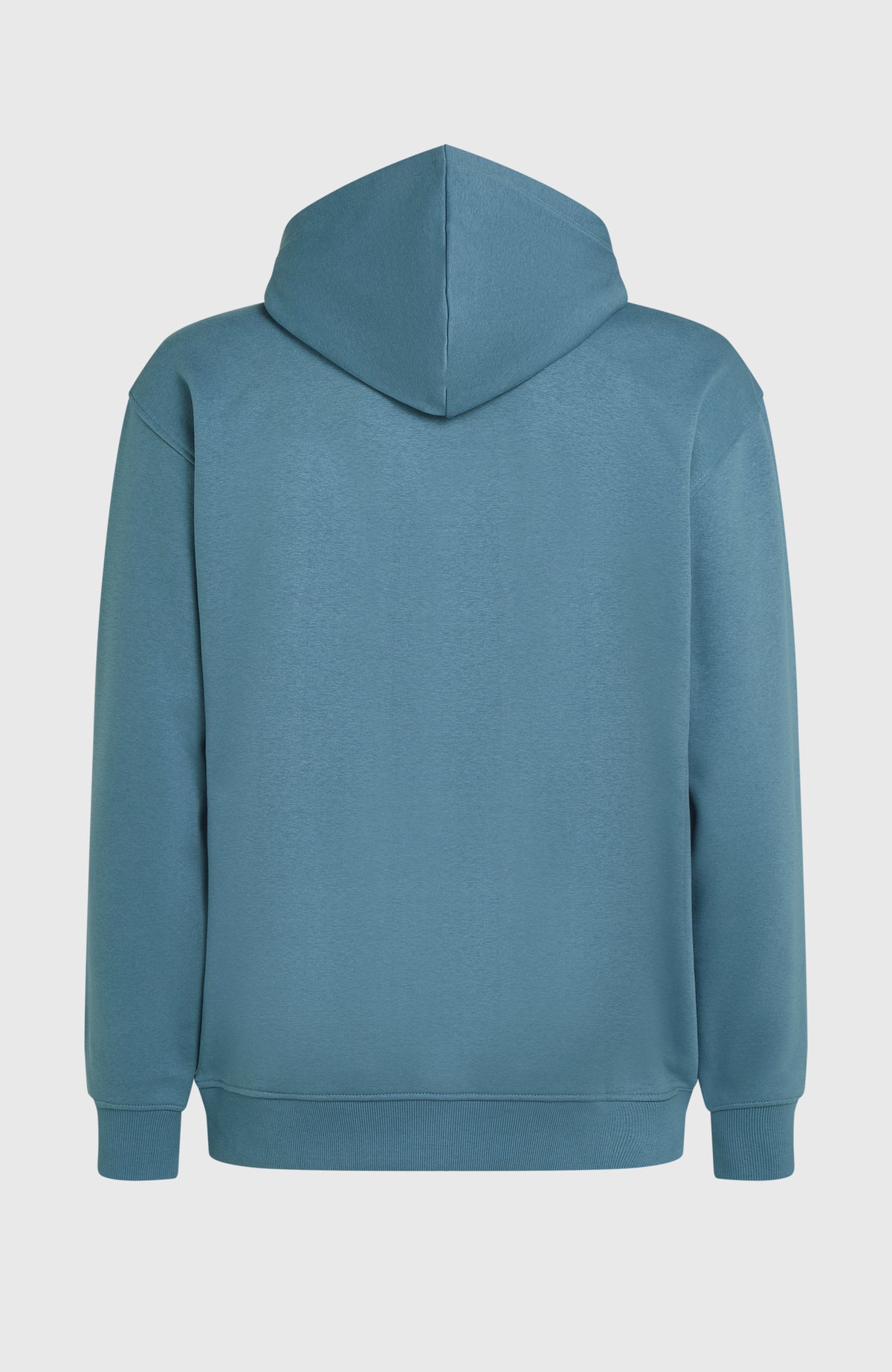 Future Surf Society Hoodie für Herren, blau, freigestellt von hinten mit Kapuze