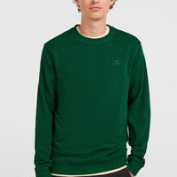 Small Logo Crew Sweatshirt | Emerald Envy