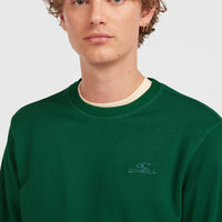 Small Logo Crew Sweatshirt | Emerald Envy