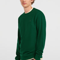 Small Logo Crew Sweatshirt | Emerald Envy