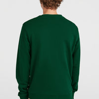 Small Logo Crew Sweatshirt | Emerald Envy