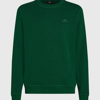 Small Logo Crew Sweatshirt | Emerald Envy