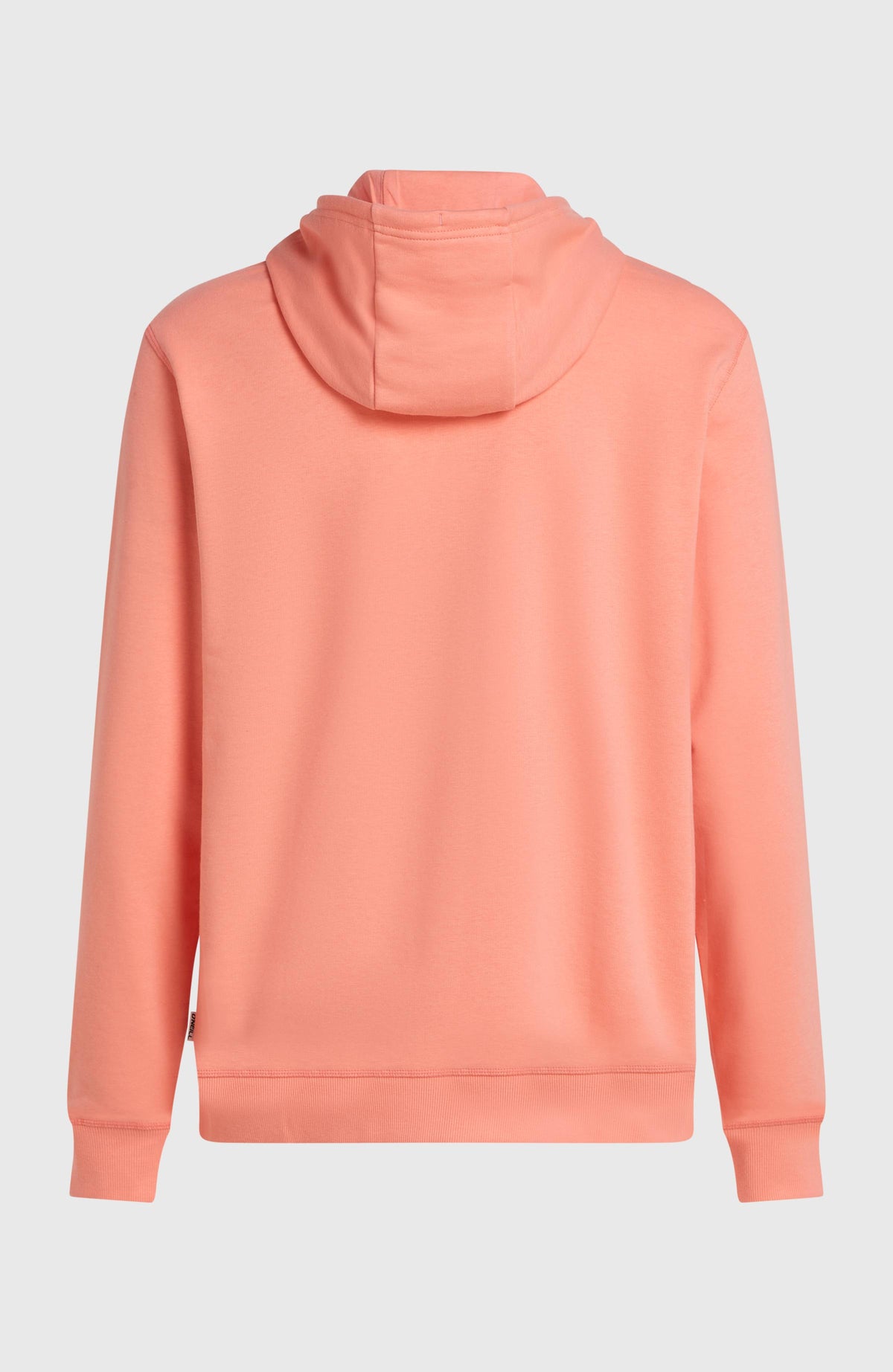 Must-Have Graphic Hoodie für Herren, orange, freigestellt von hinten, Kapuze und gerippter Saum