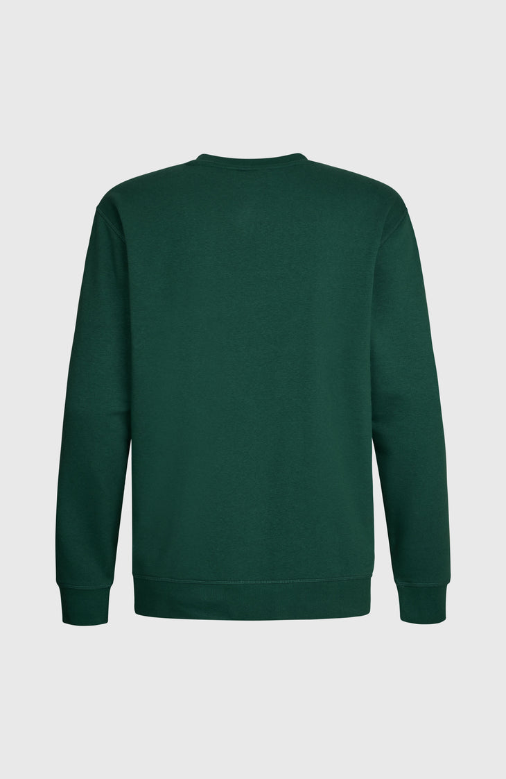 O'NEILL CALI CREW | Emerald Envy