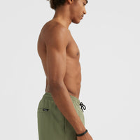 Cali State 15'' Badehose | Deep Lichen Green