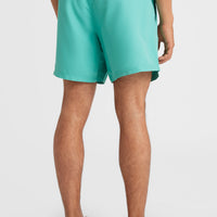 Cali State 15'' Badehose | Sea Green