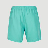 Cali State 15'' Badehose | Sea Green