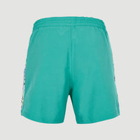 Coast Ocean 15'' Badehose | Sea Green