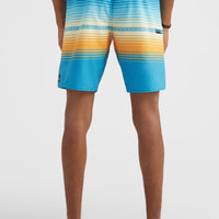 Heat Stripe Line 19'' Boardshorts | Princess Blue