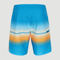 Heat Stripe Line 19'' Boardshorts | Princess Blue