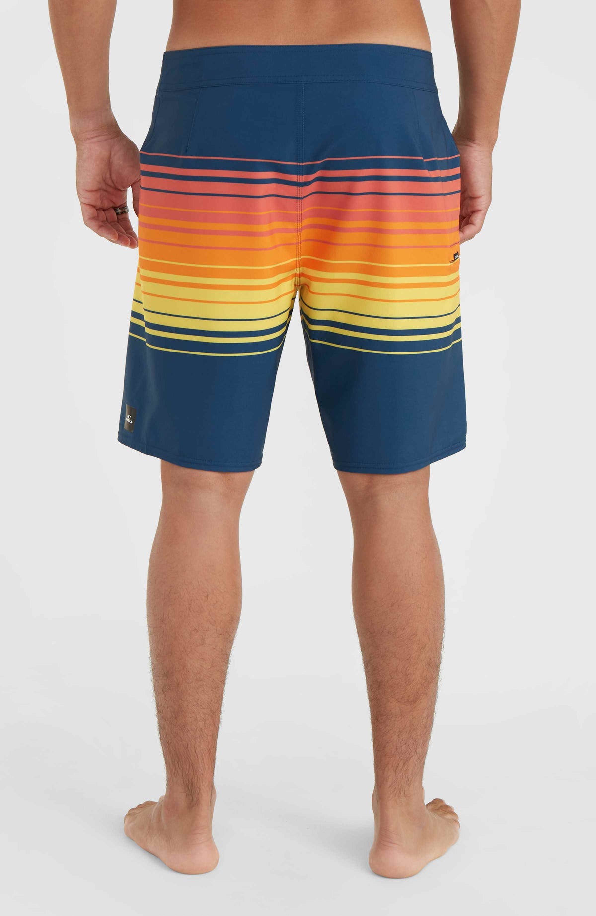 Hyperfreak Heat Stripe Line 19'' Boardshorts | Indigo Stripe Panel