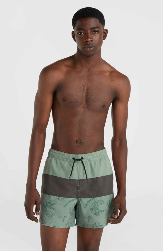 Mix and Match Cali Block 15'' Badehose | Green Vintage Surfer