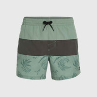 Mix and Match Cali Block 15'' Badehose | Green Vintage Surfer
