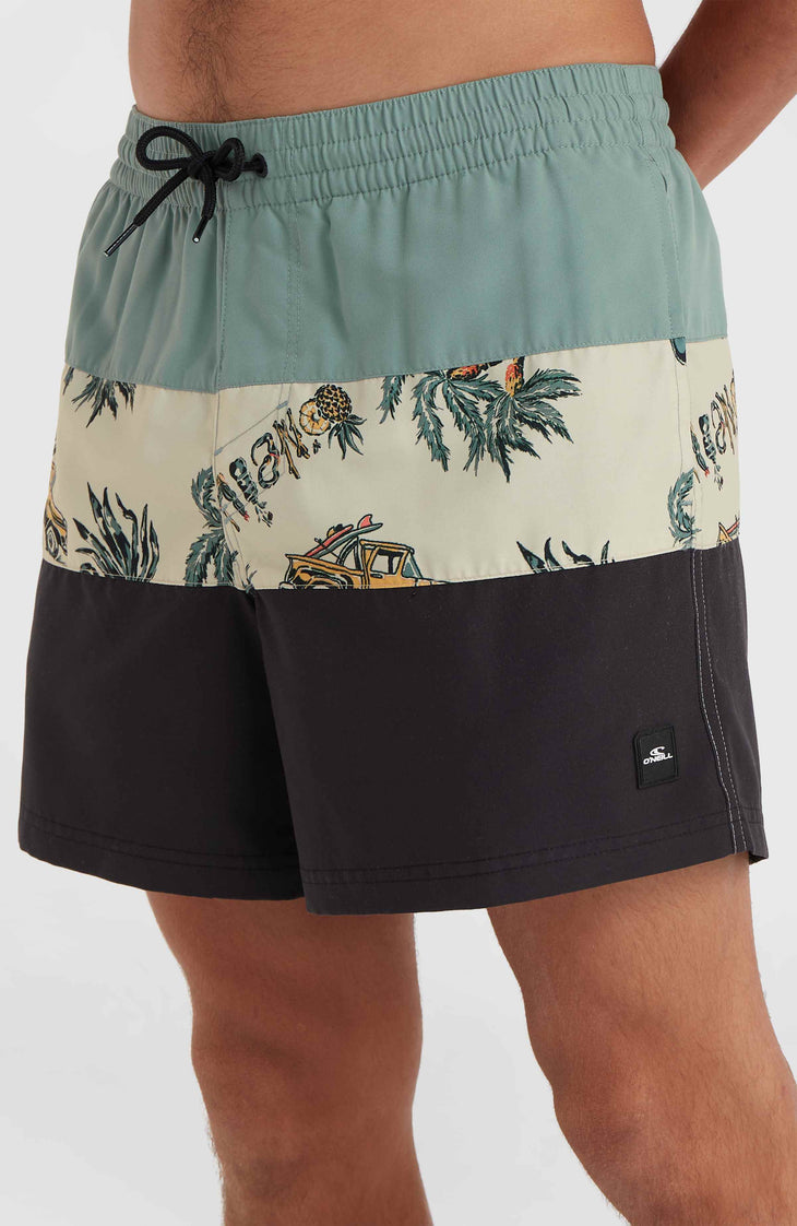 Mix and Match Cali Block 15'' Badehose | Beige Venice Beach
