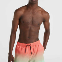 Jack O'Neill Cali Gradient 15'' Badehose | Living Coral Simple Gradient Panel