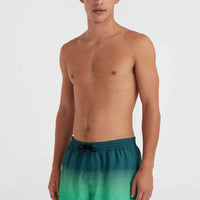 Jack O'Neill Cali Gradient 15'' Badehose | Beetle Juice Simple Gradient Panel