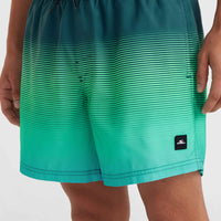 Jack O'Neill Cali Gradient 15'' Badehose | Beetle Juice Simple Gradient Panel