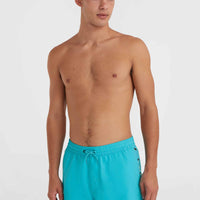 Jack O'Neill Vert 14'' Badehose | Neon Blue