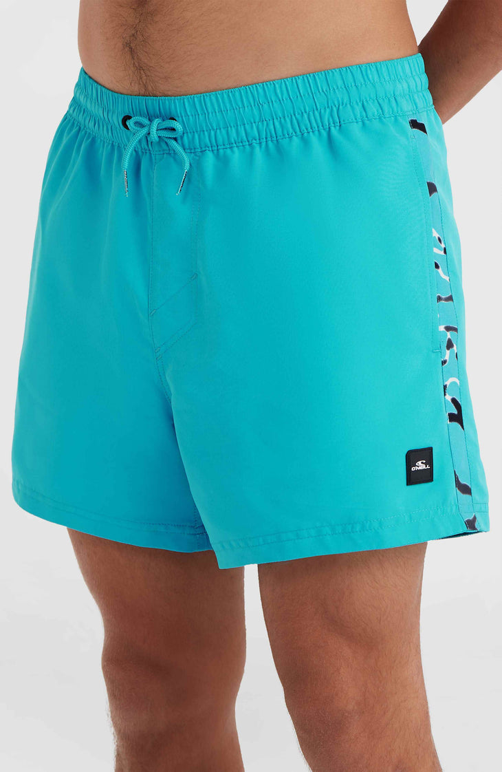 Jack O'Neill Vert 14'' Badehose | Neon Blue
