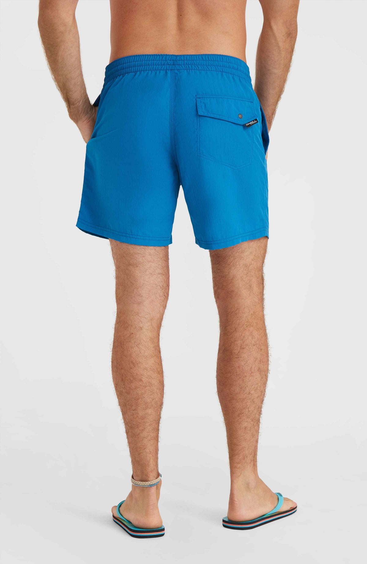 Vert 16'' Badehose | Mary Poppins