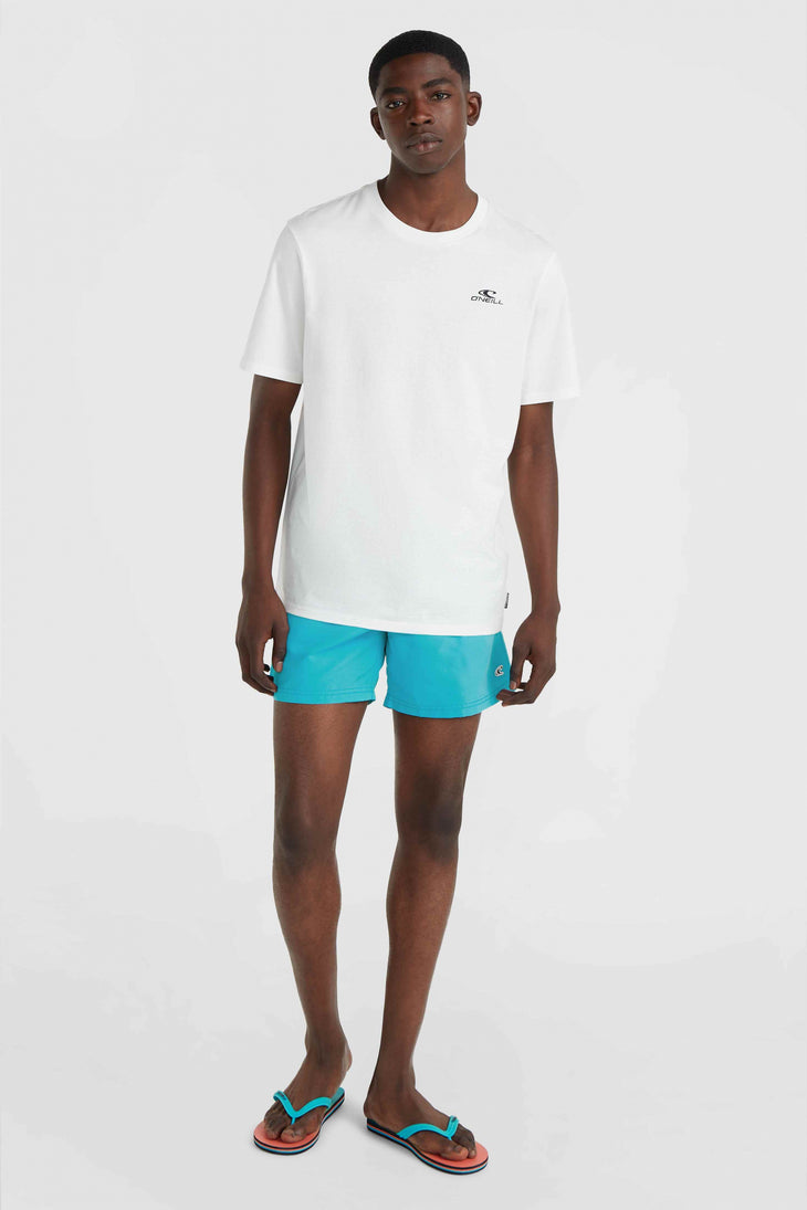 Vert 16'' Badehose | Neon Blue