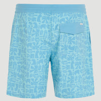 OG Cruzer 18'' Boardshorts | Aqua Haze