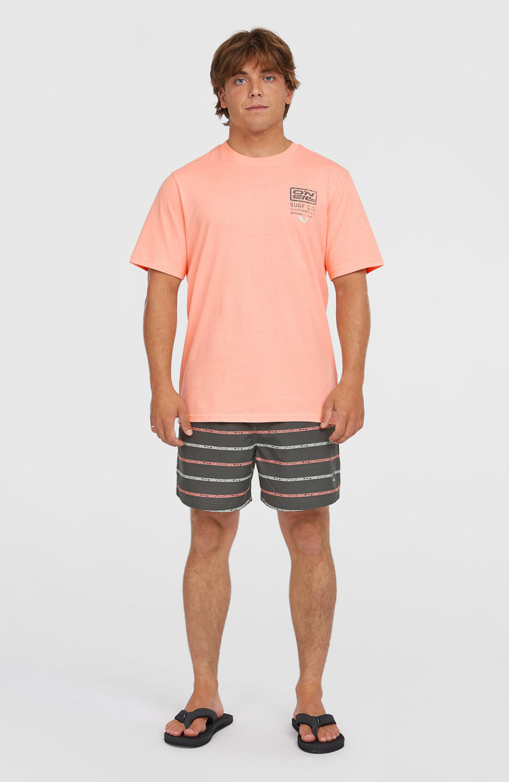 Cali First 15'' Badehose | Grey O'Neill Stripe