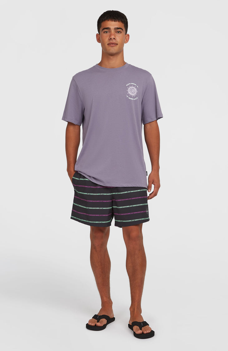 Cali First 15'' Badehose | Black/Purple O'Neill Stripe