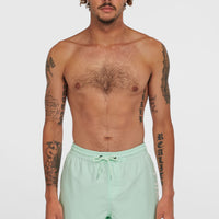 Cali 16'' Badehose | Mildrew Mint