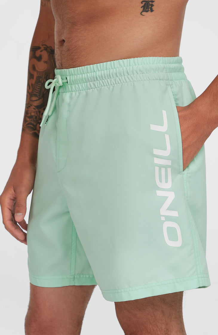 Cali 16'' Badehose | Mildrew Mint