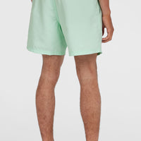 Cali 16'' Badehose | Mildrew Mint