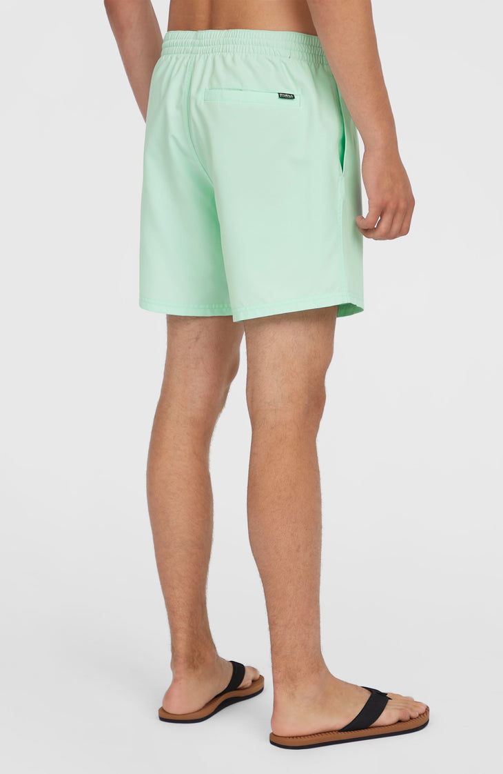 Original Cali 16'' Badehose | Mildrew Mint