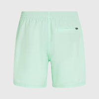 Original Cali 16'' Badehose | Mildrew Mint