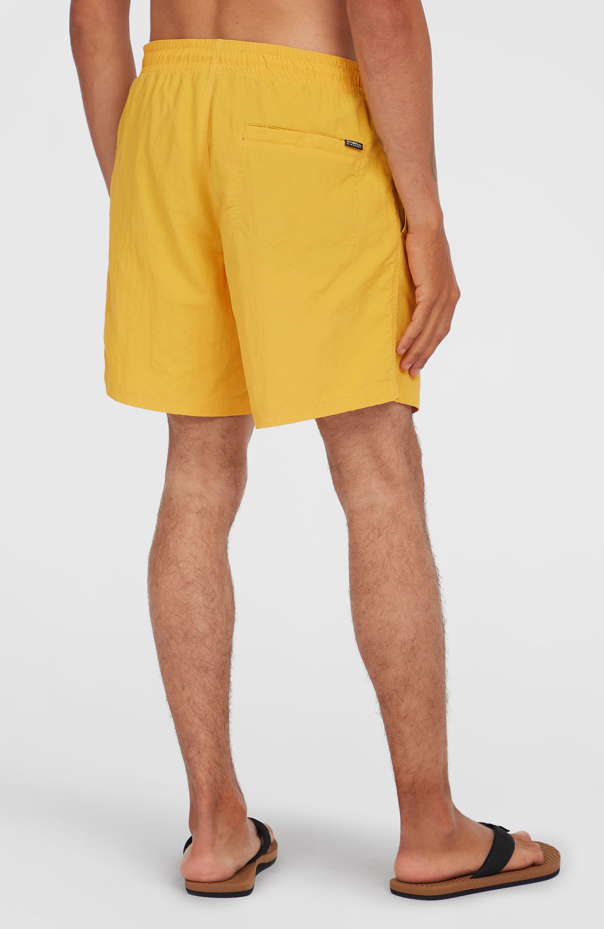 Vert 16'' Badehose für Herren, gelb, Rückansicht am Model mit aufgesetzter Gesäßtasche