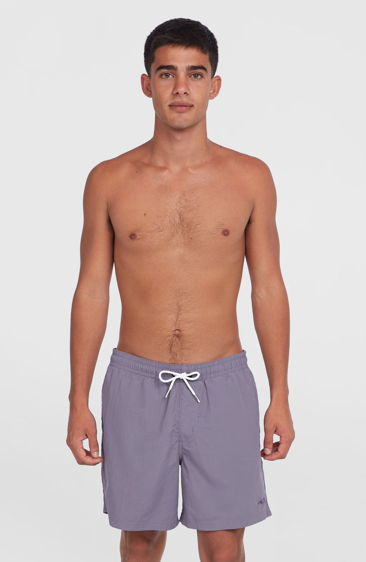 O'Neill Vert 16'' Badehose | Storm