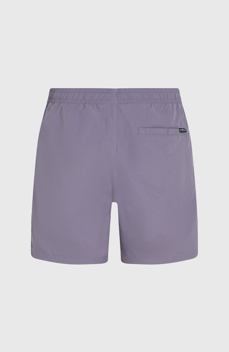 O'Neill Vert 16'' Badehose | Storm