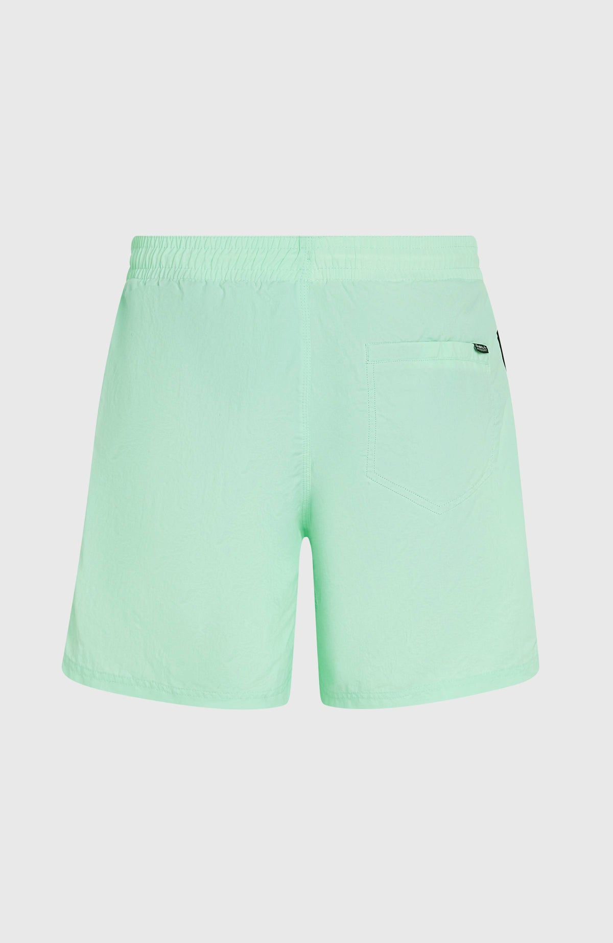Vert 16'' Badehose für Herren, grün, flach liegend von hinten mit aufgesetzter Gesäßtasche und Logo-Patch